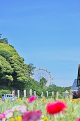 東京ドイツ村