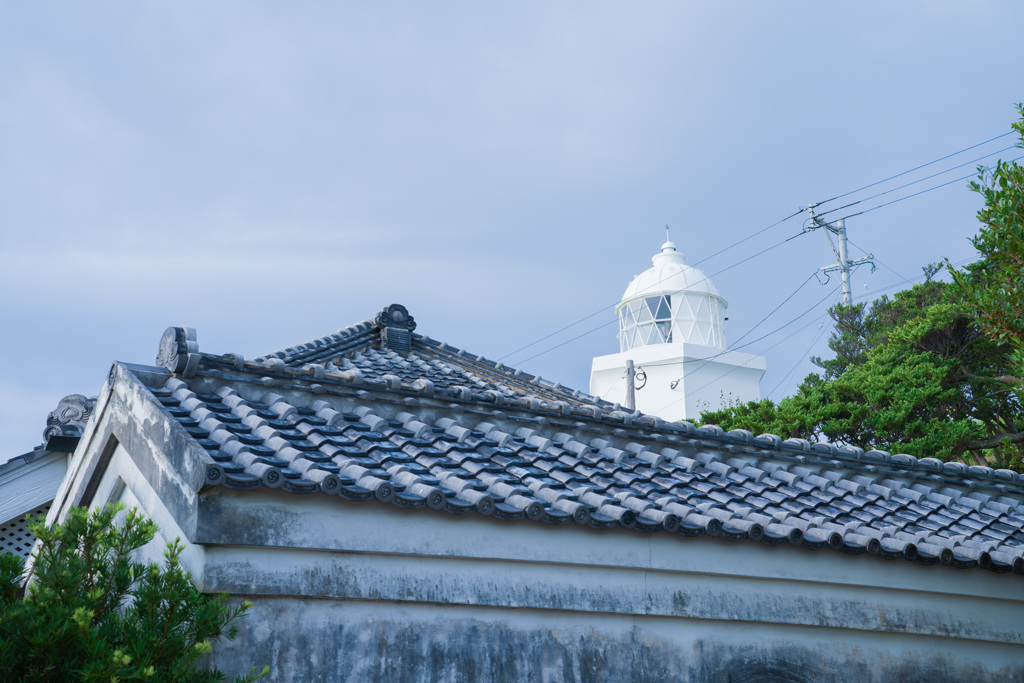 またまた青が欲しい