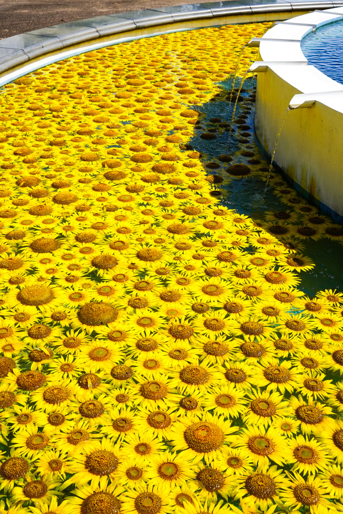 花手水
