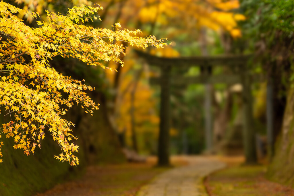 切通しの参道