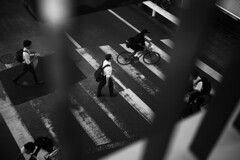 crossing