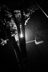 肩を打つ雨脚