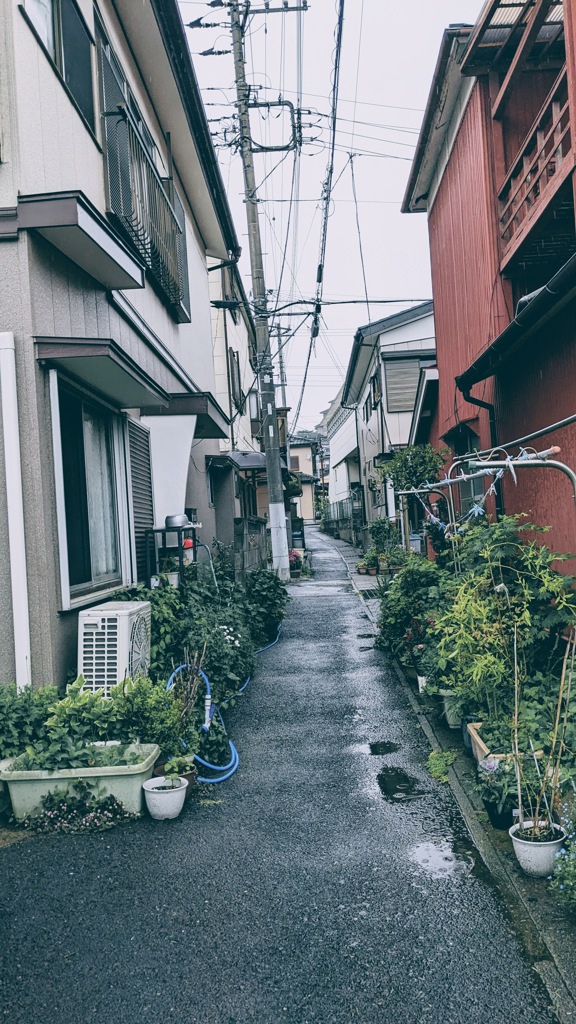 路地