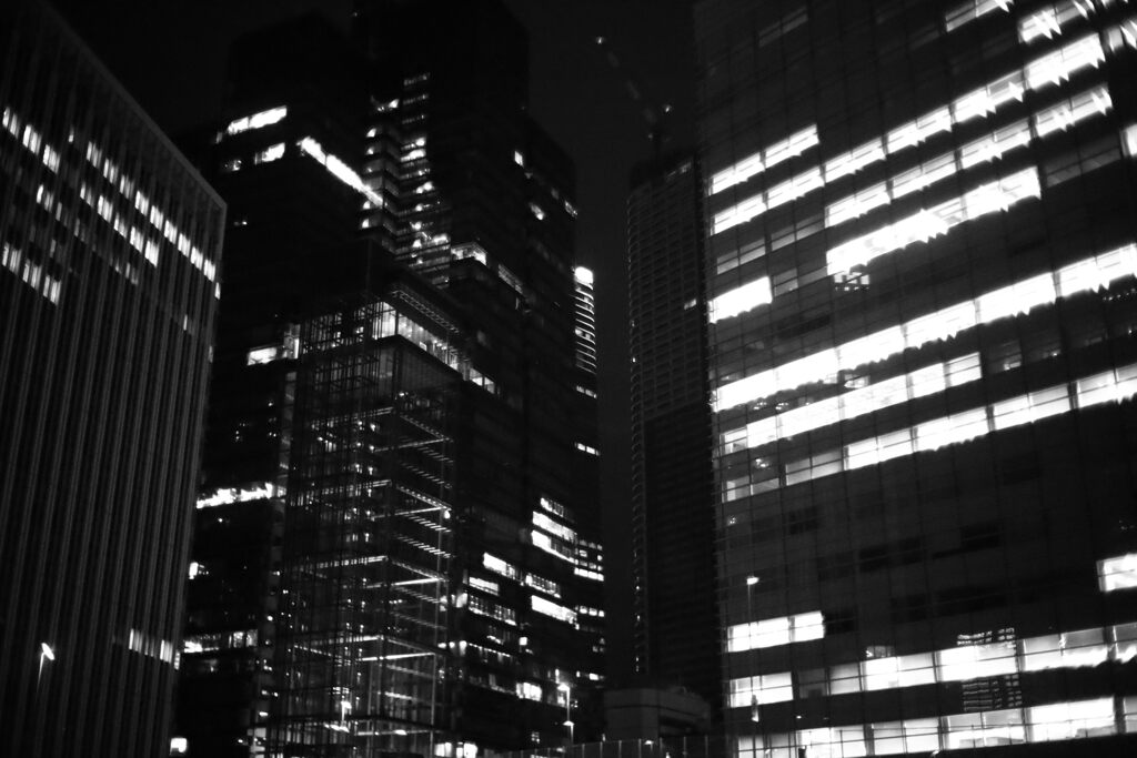 Neo tokyo