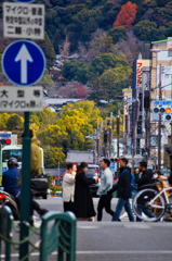 kyoto street
