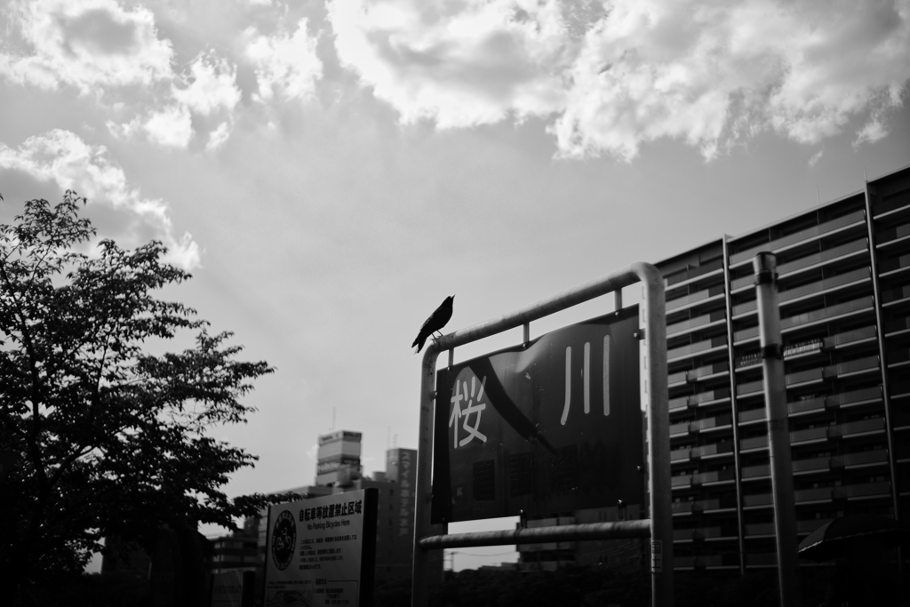 川のそばで
