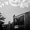 川のそばで