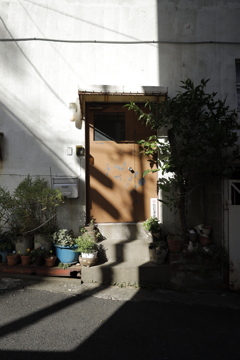 日差しと影の芸術