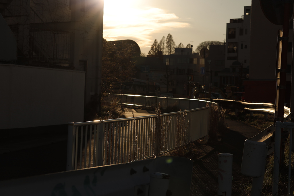 夕暮れの散歩道