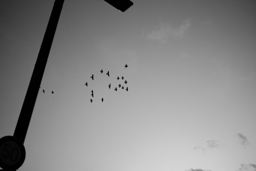 夕空