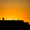 何丁目かの夕日