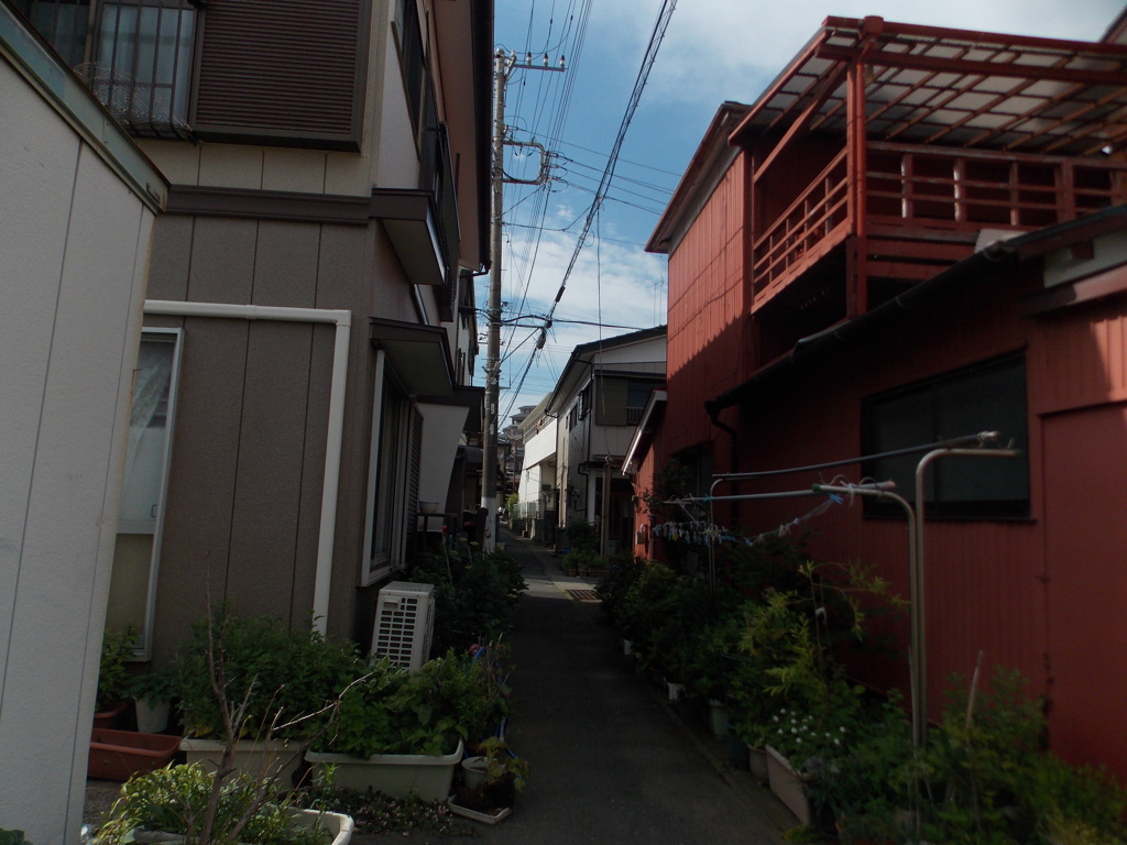 路地
