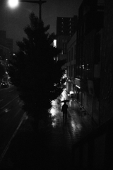 isolated