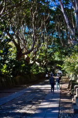 正月参道