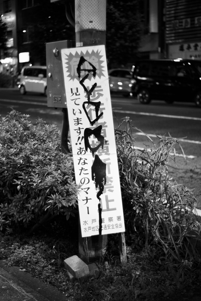 見ています