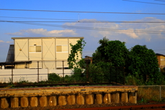 緑と空