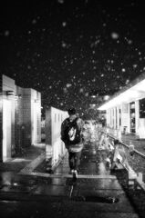 雪が舞う