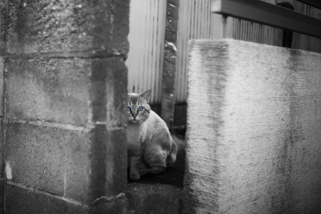きまず