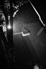 霧雨