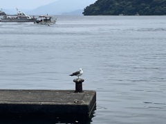 IMG_5695