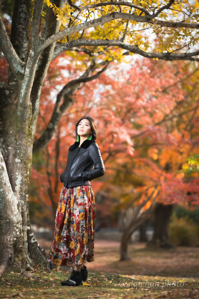 ポートレート（85mm）