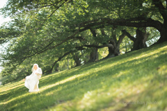 ポートレート（85mm）