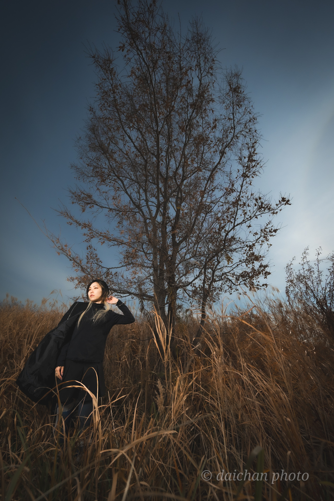 ポートレート（12mm）