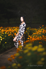 ポートレート（85mm）