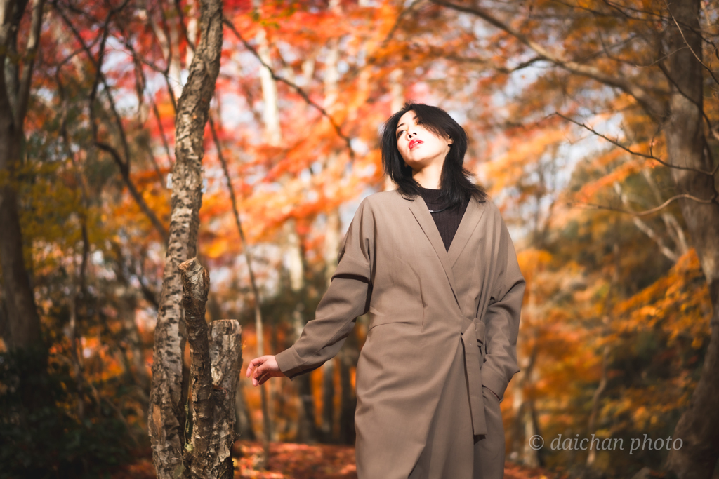 ポートレート（55ｍｍ）