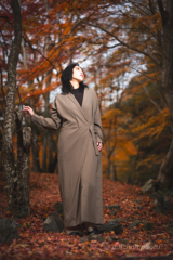 ポートレート（55mm）