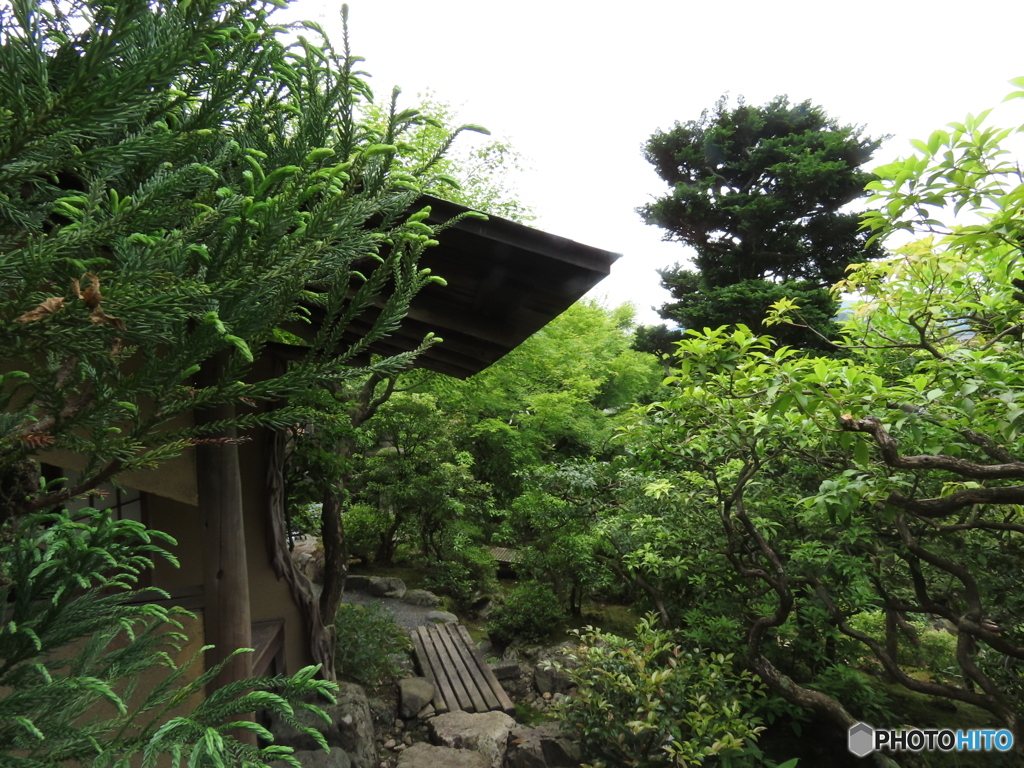 癒しの庭園