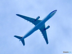 青空に飛ぶ飛行機