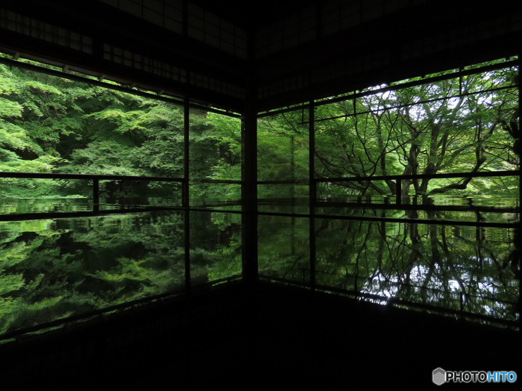 写経机に映り込む青モミジ