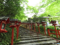 新緑香る貴船神社