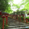 新緑香る貴船神社