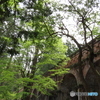 南禅寺の水路閣