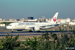 JAL Boeing 787-8