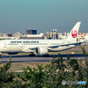 JAL Boeing 787-8