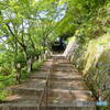 霊山墓地　小道