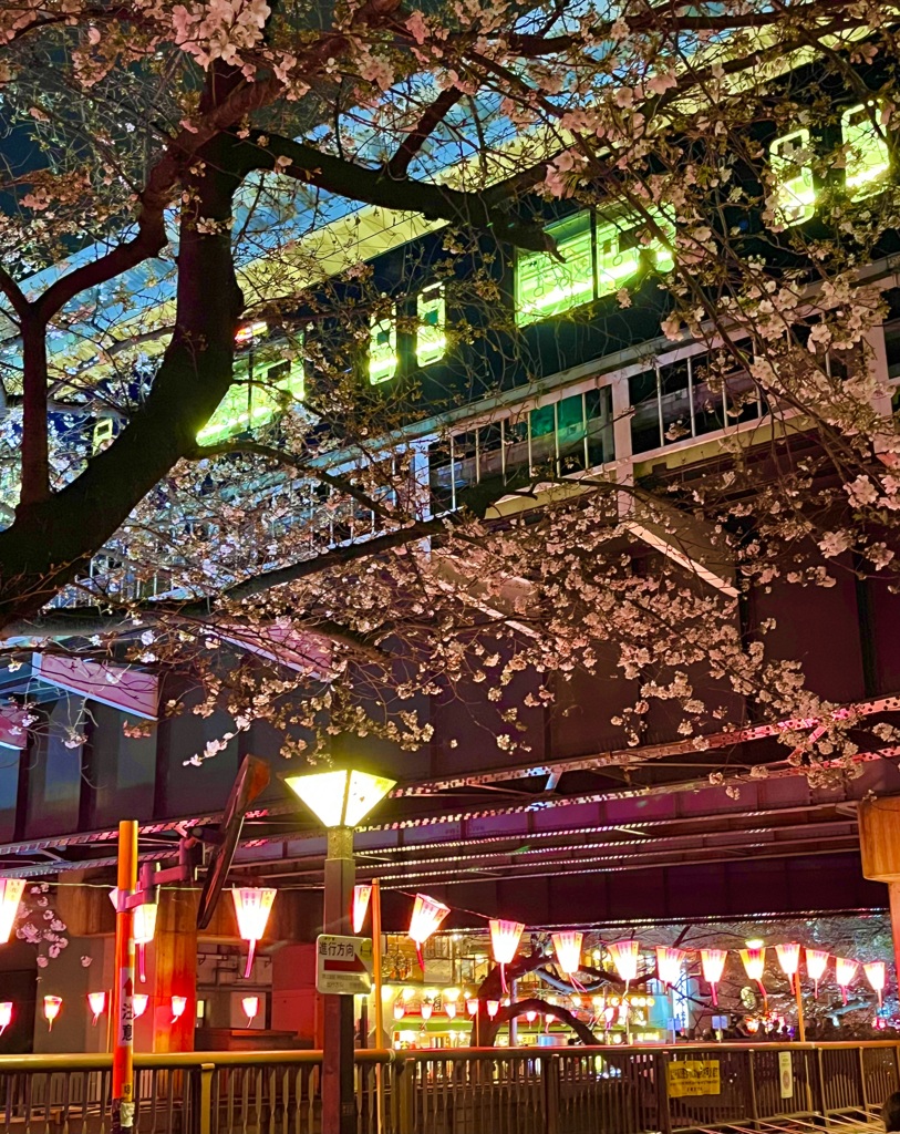 ｎｅｏｎ　ｔｏｋｙｏ