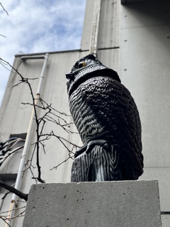 施されること、施すこと