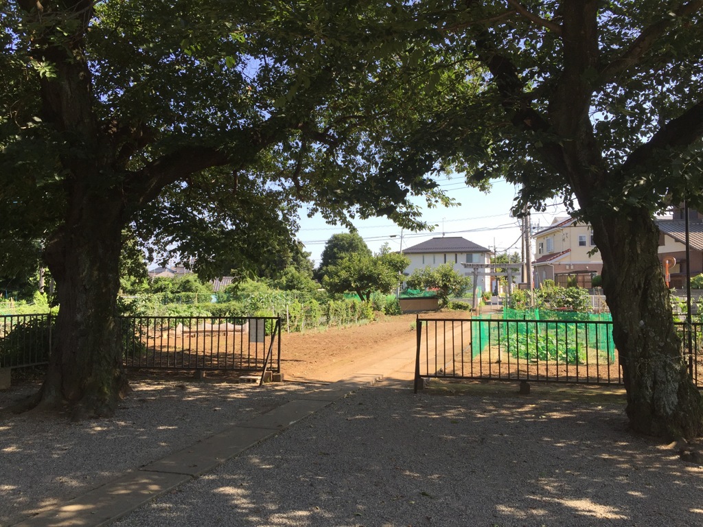 田園