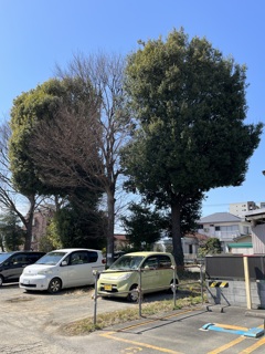 シュールレアリズム　in 埼玉