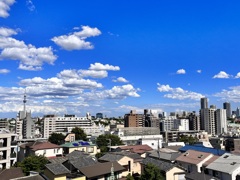 豊雲野