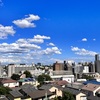 豊雲野