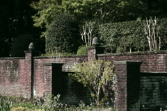 IMGP0640