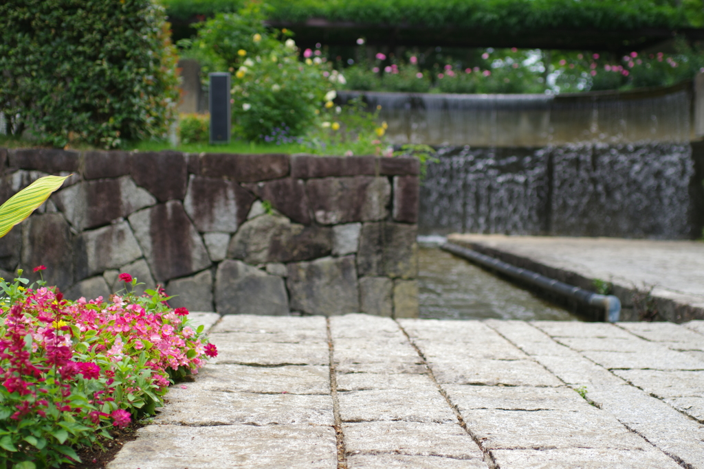 タムキューの風景