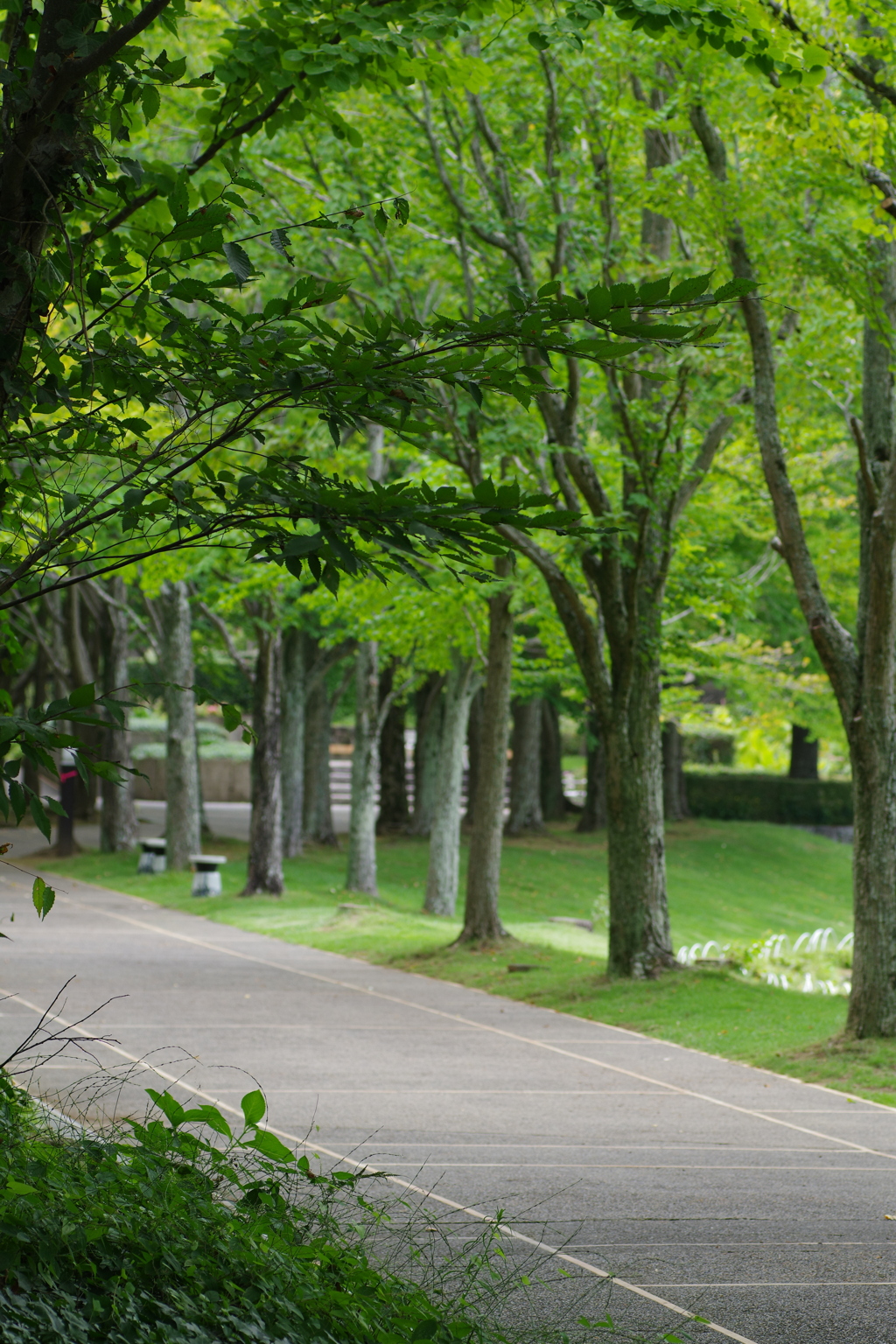 新緑と美しい花が織りなす絶景 