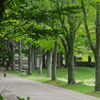 新緑と美しい花が織りなす絶景 