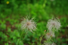 IMGP4278